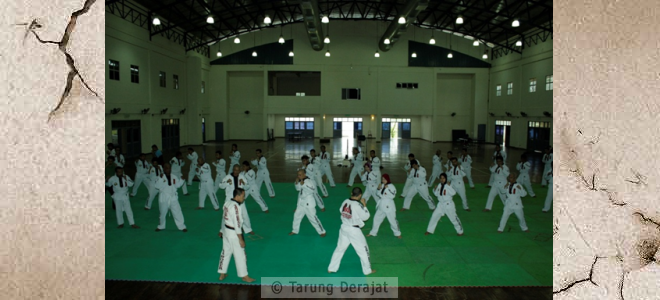 Pelaksanaan pelatihan